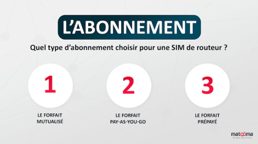 Labing Sim Router SIM -Karte